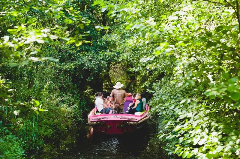 BeWILDerwood is an award winning wild and imaginative outdoor adventure park BeWILDerwood is an award winning wild and imaginative outdoor adventure park