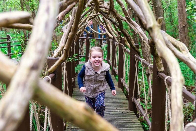 BeWILDerwood is an award winning wild and imaginative outdoor adventure park BeWILDerwood is an award winning wild and imaginative outdoor adventure park