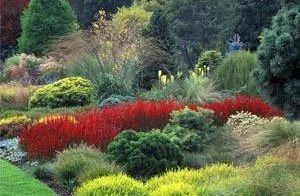 Bressingham Steam & Gardens | Heritage Railways & Stunning Landscapes