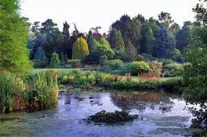 Bressingham Steam & Gardens | Heritage Railways & Stunning Landscapes