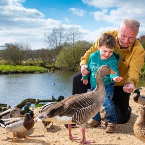 Pensthorpe Natural Park, Norfolk