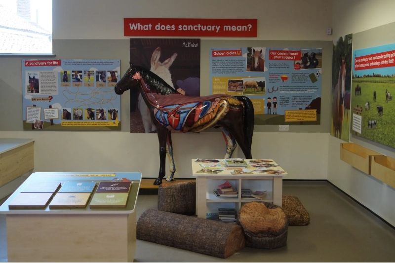 Redwings Horse Sanctuary Aylsham, Norfolk Redwings Horse Sanctuary Aylsham, Norfolk
