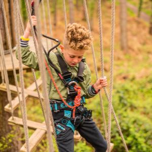Treetop Adventure (5) (1)