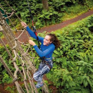Treetop Challenge (1) (1)